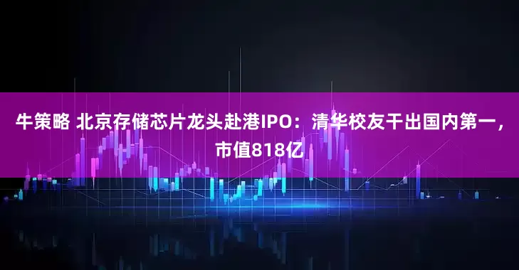 牛策略 北京存储芯片龙头赴港IPO：清华校友干出国内第一，市值818亿