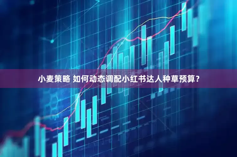小麦策略 如何动态调配小红书达人种草预算？