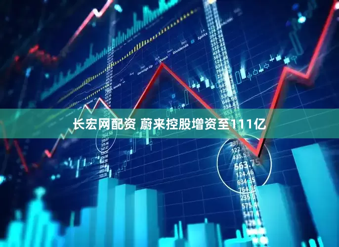 长宏网配资 蔚来控股增资至111亿