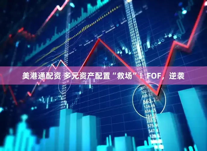 美港通配资 多元资产配置“救场”！FOF，逆袭